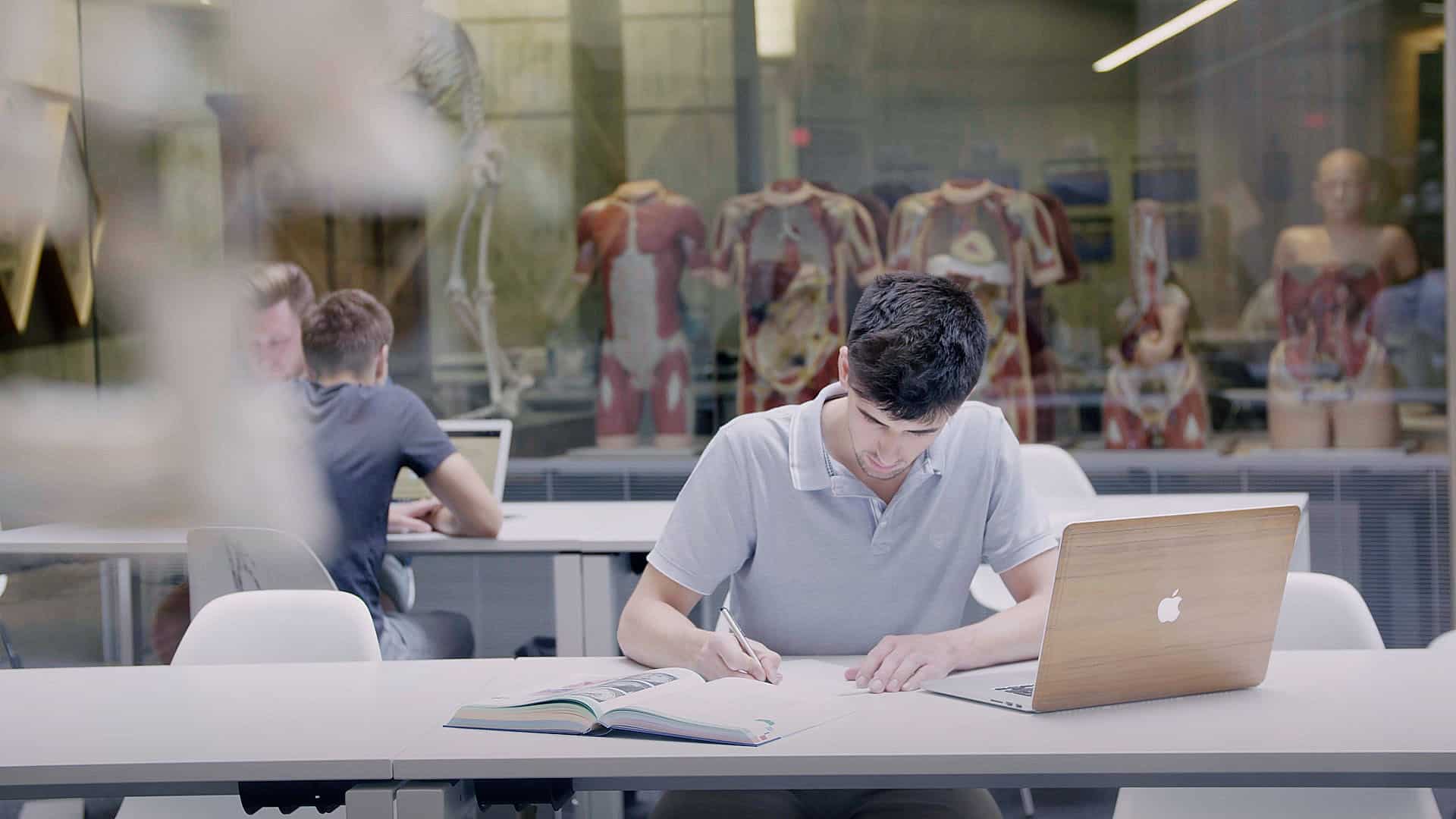 Studenten der Universität Ulm lernen eifrig in einem Raum mit anatomischen Modellen im Hintergrund.